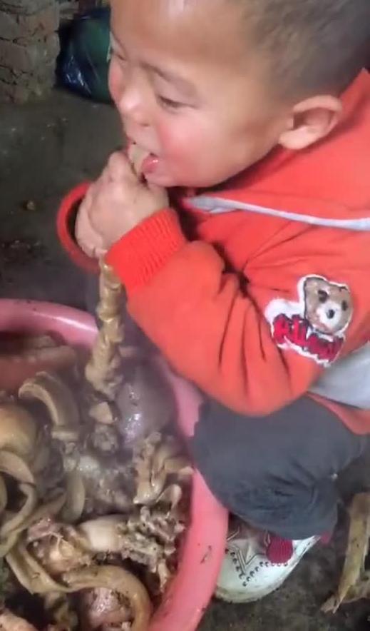 爱吃肉肉的崽崽吃瓜视频