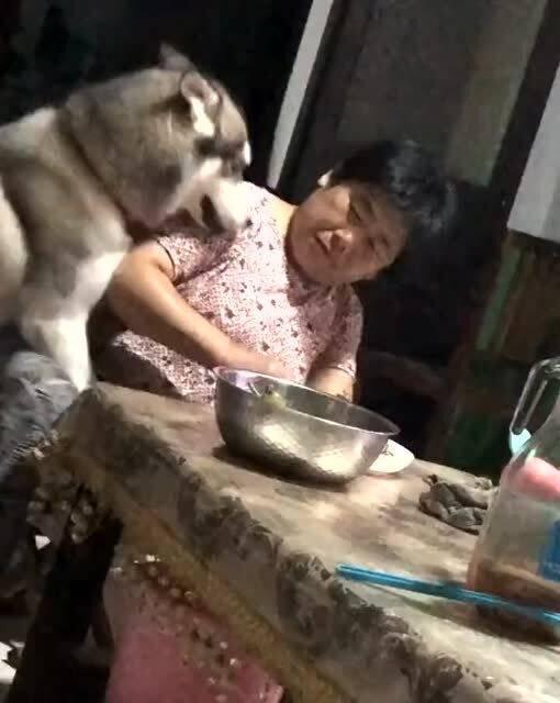 永年吃瓜大娘视频大全,揭秘民间趣味生活瞬间