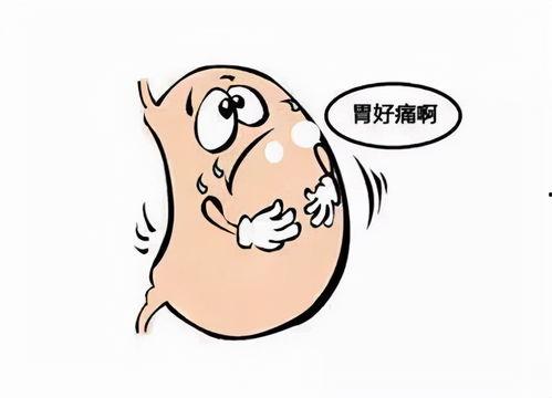 吃凉瓜胃疼视频