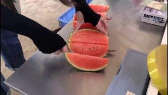 吃瓜视频群众快来看看