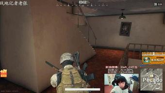 吃瓜小叮当视频