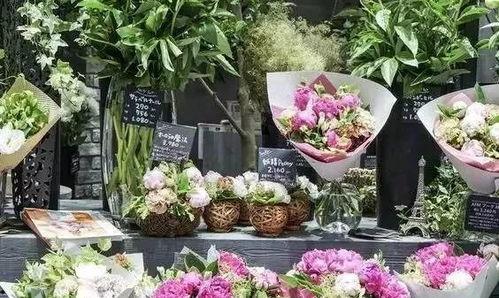 花店最新吃瓜视频播放大全,趣味瞬间，笑料连连