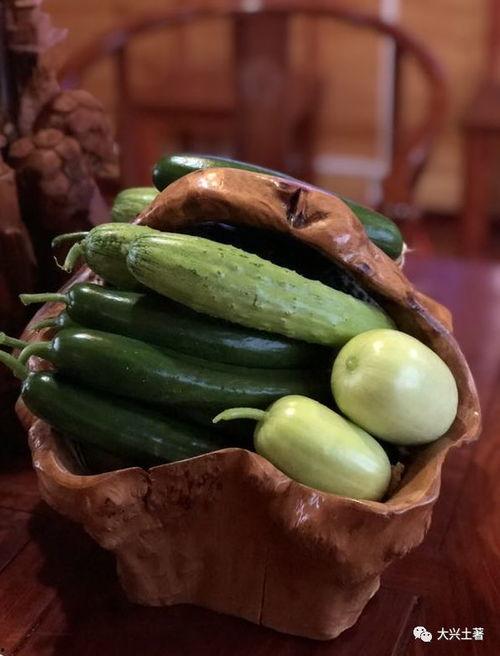 各类网红吃瓜视频,盘点热门视频背后的幕后故事