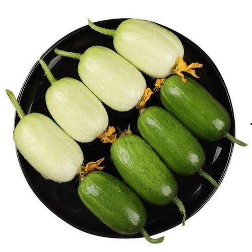 小秋瓜怎么吃最好吃视频,视频教你如何吃出最佳口感