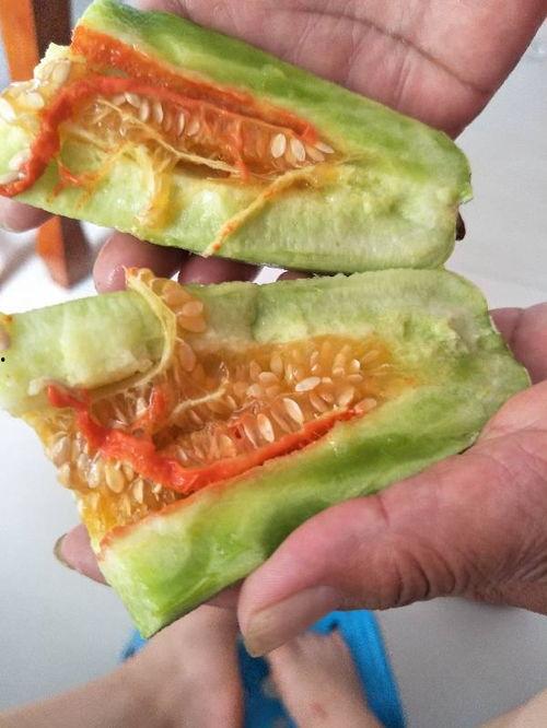 吃黄色瓜的视频,一场视觉与味觉的双重盛宴