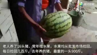 都在哪里看吃瓜视频,揭秘各大平台吃瓜视频聚集地