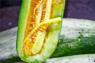 各种网红爆料吃瓜原视频,揭秘幕后真相，带你领略网络风云