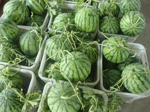 各种网红爆料吃瓜原视频,揭秘幕后真相，带你领略网络风云