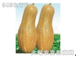 吃瓜爆火的视频大全,揭秘热门事件幕后真相