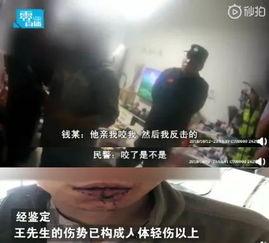 吃瓜系统沙雕视频,揭秘网络热门沙雕视频背后的趣味与笑点