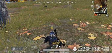 吃瓜人遇到狼人视频播放