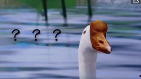 蝴蝶吃瓜的视频,瓜香引蜂蝶