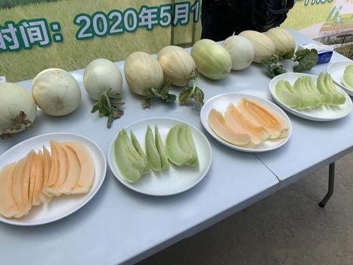 18分钟吃瓜视频,揭秘热门事件背后的真相