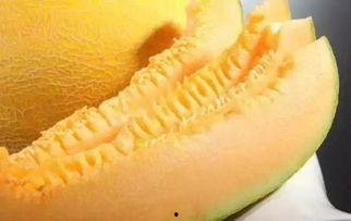 超级吃货哈密瓜视频大全,视频大全里的甜蜜诱惑