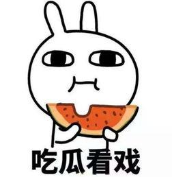 吃瓜的两人会说什么呢视频,揭秘“吃瓜的两人”视频背后的秘密