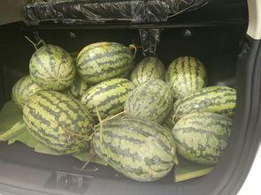 吃瓜群众搬小凳视频,围观现场直播秀