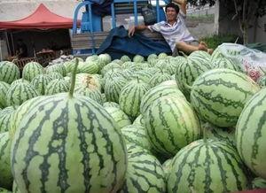 绿幕素材吃瓜群众视频大全,揭秘吃瓜群众视频大全背后的绿幕素材魅力