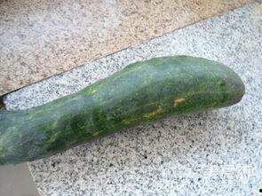 吊瓜要怎么吃才好吃视频,视频教你如何烹饪吊瓜佳肴