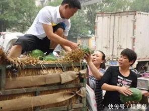 长垣县吃瓜视频剧情介绍,揭秘视频背后的惊人真相