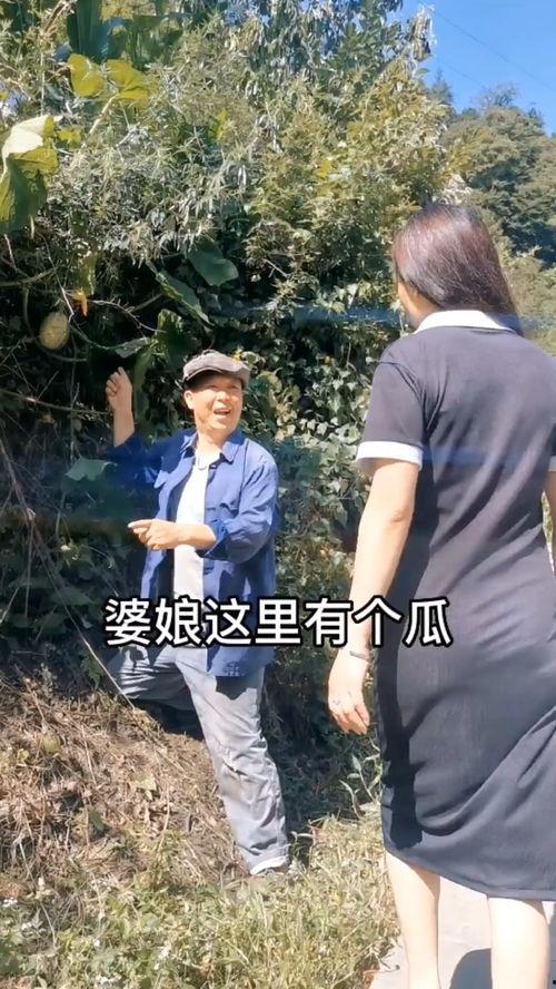 吃瓜段子搞笑视频合集下载,让你笑到肚子疼