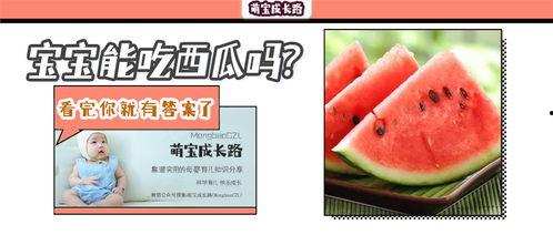儿童吃瓜最适合的视频