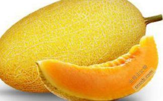 吃哈密瓜中毒事件视频,揭秘背后真相与预防措施