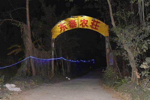 龙洞吃瓜事件真相视频大全