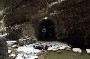 龙洞吃瓜事件真相视频大全