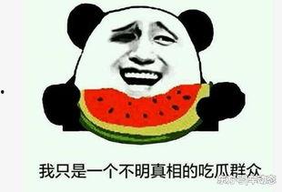 盘点吃瓜视频,吃瓜群众眼中的娱乐圈风云录