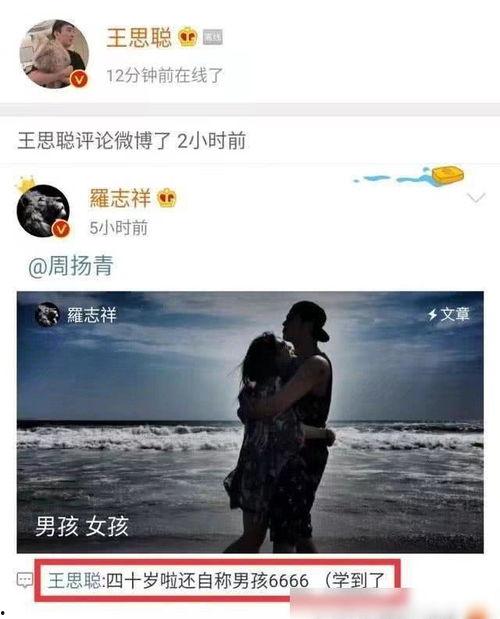 纯文字吃瓜视频在线观看,纯文字吃瓜视频，带你领略网络热点的魅力瞬间