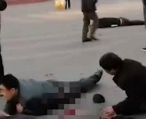 河津蔡晋辉吃瓜事件视频,网络热议的瞬间与反思