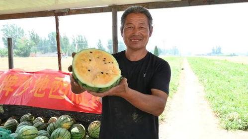 吴川吃瓜最新视频,揭秘幕后故事，笑料连连