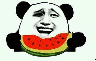 三观崩塌吃瓜视频大全集,揭秘全网热议的“三观崩塌”吃瓜视频合集