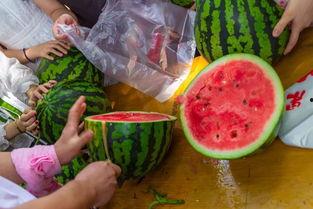 吃瓜气氛的视频,揭秘热门视频背后的吃瓜狂欢