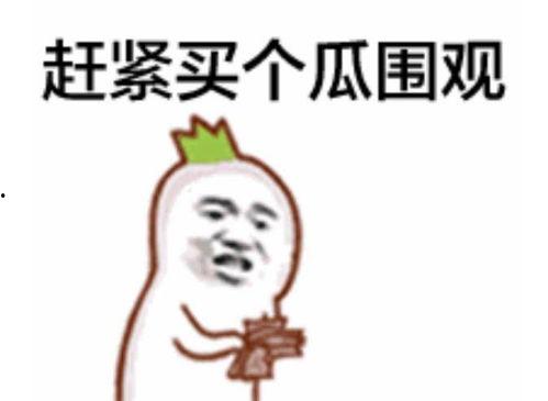 吃瓜群众玫瑰视频,一场视觉盛宴背后的故事